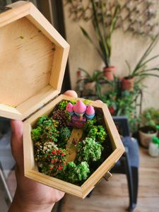 Wooden Box With Miniature World (Handmade)