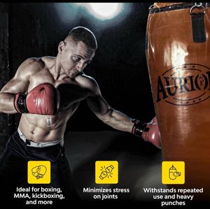Aurion Leather Punching Bag
