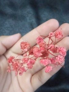 Fake Dried Flower Bundle