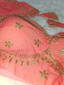 Sabyasachi Coral Blouse