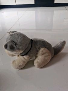 Dog Soft Toy
