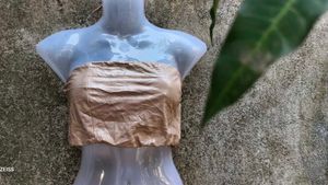 2121. Brown Tube Top