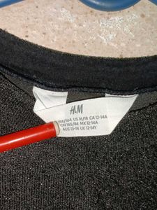H&amp;M Partywear Crop Top