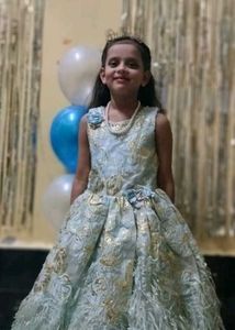 Girl&#39;s Feathered Party Dress