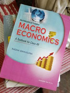 Introductory Macro Economics Class 12