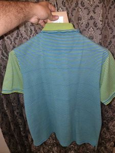 Striped Polo T-Shirt