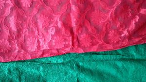 BRASHO SAREE BRAND NEW