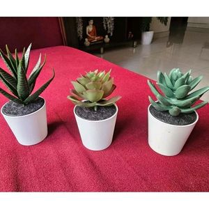 Artificial Plants Combo