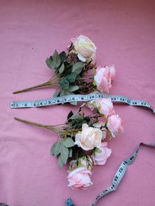 Light Pink Roses