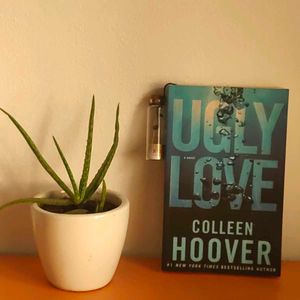 Ugly Love: A Novel