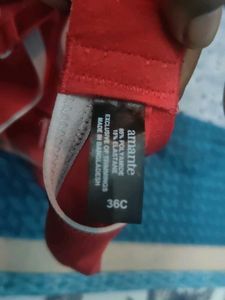 Amante Branded Padded Bra