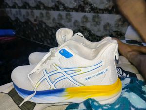Asics GEL-NIMBUS Sports Shoes