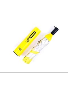 Foldable Bottle Umbrella