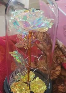 Artificial Colourful Preserved Rose In Glass Dome