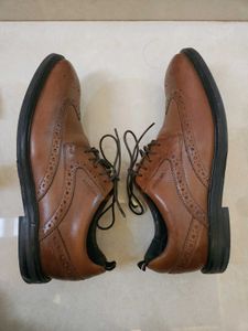 MEN'S- Brogues Brown