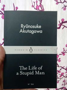 The Life Of A Stupid Man