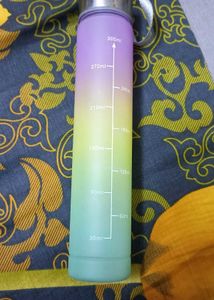 Gradient Water Bottle- 300ml