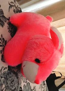 Pink Soft Toy 🩷