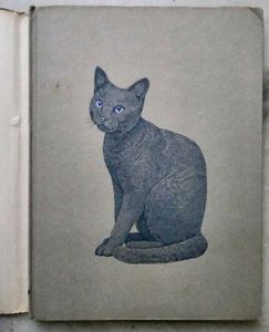 The love of cats