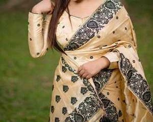 Assamese traditional mekhela sador New