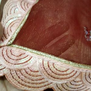 Saree Organza Shimmer Cutwork