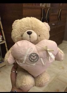 Cute Teddy Bear Combo