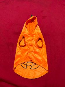 Dog Pumpkin Hoodie