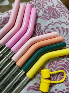 House Of Quirk Stainless Steel Straw With Cap