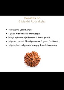 Rudraksha 6 and 9 mukhi combo