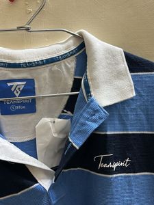 Teamspirit Blue Striped Polo T-shirt