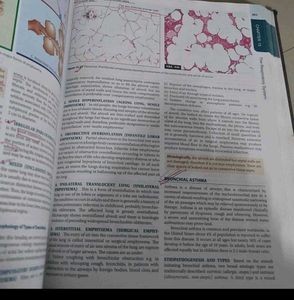 Textbook of Pathology