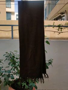 Woolen Scarfs (Brown)
