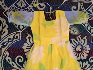 Beautiful Organza Fairy Dress