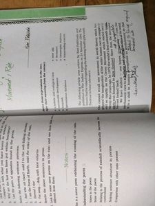 Hornbill &amp; Snapshots English Text Class 11