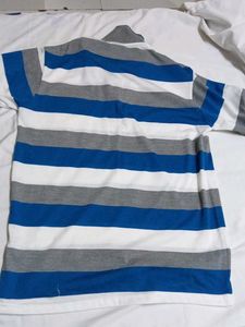Striped Polo Shirt