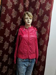 windshield biker jacket