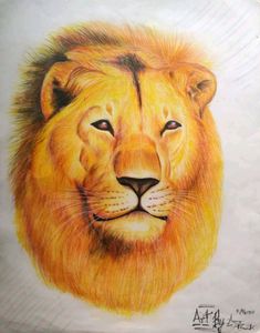 Color Pencil Sketch