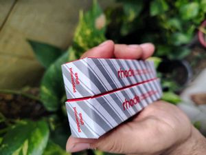 Rhode Super Limited Editions And New Launches