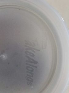 Rubber Maid Boxes Take Alongs (Imported)