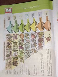 NCERT Biology Textbook