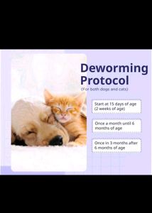 Kiwof Easy Chews For Cat Deworming