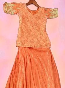 Orange Embroidered  Top&amp; Skirt
