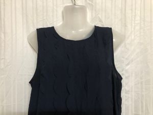 Blue Sleeveless Top