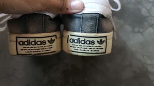 Real Adidas Shoes