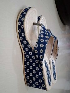 Blue Wedges
