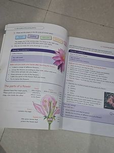 Cambridge Primary Learners Book 5