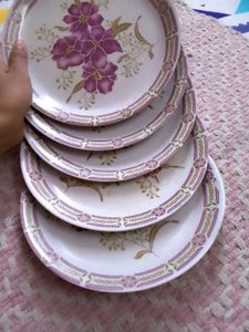 Dinnerware Plates (Set of 5)