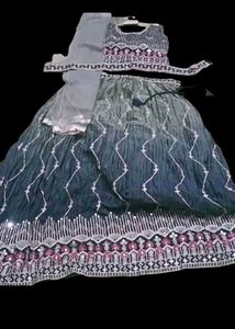 Embroidered Lehenga With Blouse