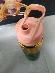 Gradient Water Bottle