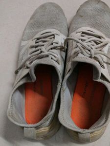 Red Tape Grey Sports Shoes